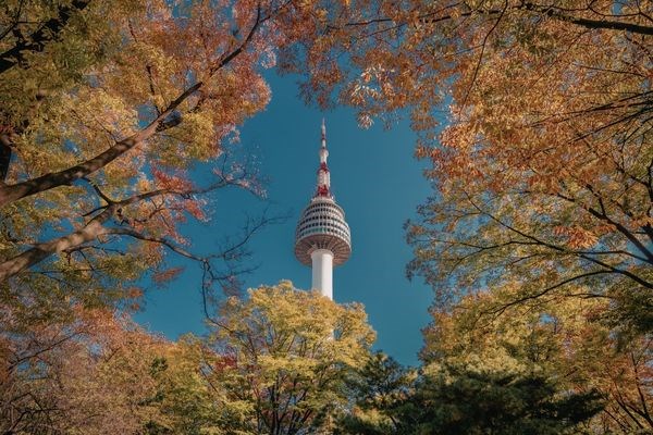Uzak Doğu'nun Çiçeği ve Güneşi Güney Kore ve Japonya Türk Hava Yolları 9 Gece 
