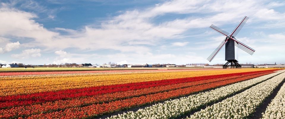 Amsterdam Rotası Türk Hava Yolları 3 Gece
