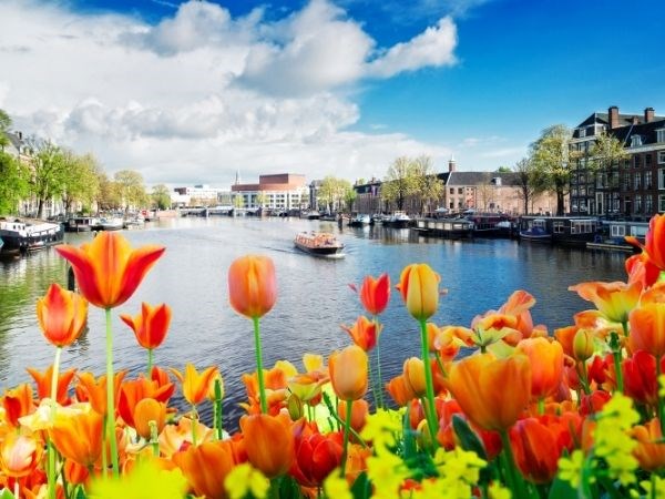 Amsterdam Rüyası Türk Hava Yolları 3 Gece 