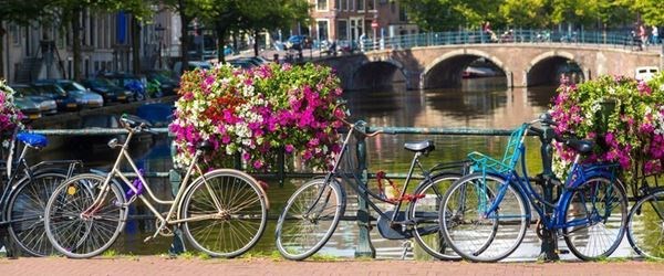 Görkemli Amsterdam Renklerin Şehri Türk Hava Yollları 3 Gece