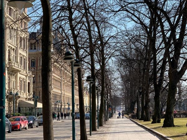 Norveç Fiyortları Rotası Türk Hava Yolları 4 Gece
