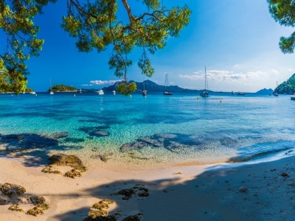 **PROMOSYON**Mallorca Prontotour Özel Seferi 3 Gece 