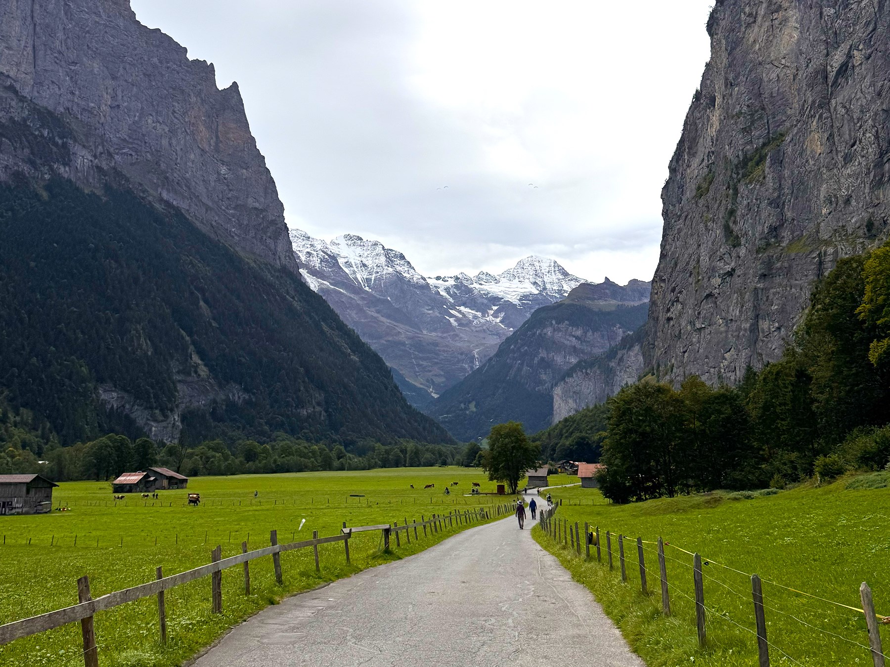 **Kurban Bayramı**Alplerin Gölgesinde İsviçre Türk Hava Yolları 3 Gece (Tüm Turlar Dahil)