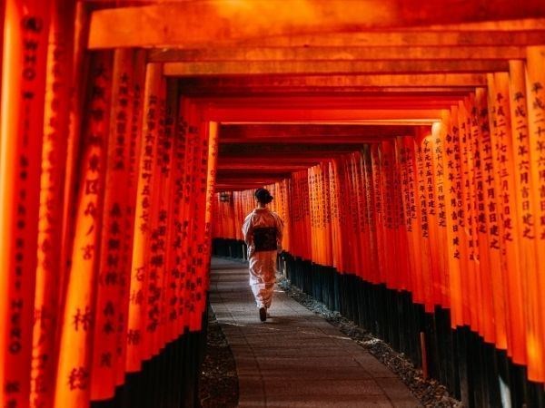 Elegant Japonya Türk Hava Yolları 7 Gece