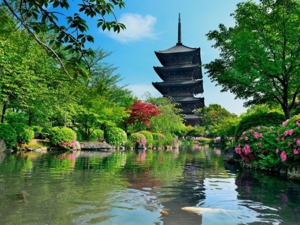Elegant Japonya Türk Hava Yolları 7 Gece