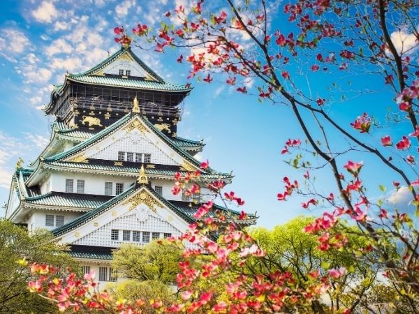 Japonyanın Kalbine Yolculuk Turu (Tüm Turlar Dahil)