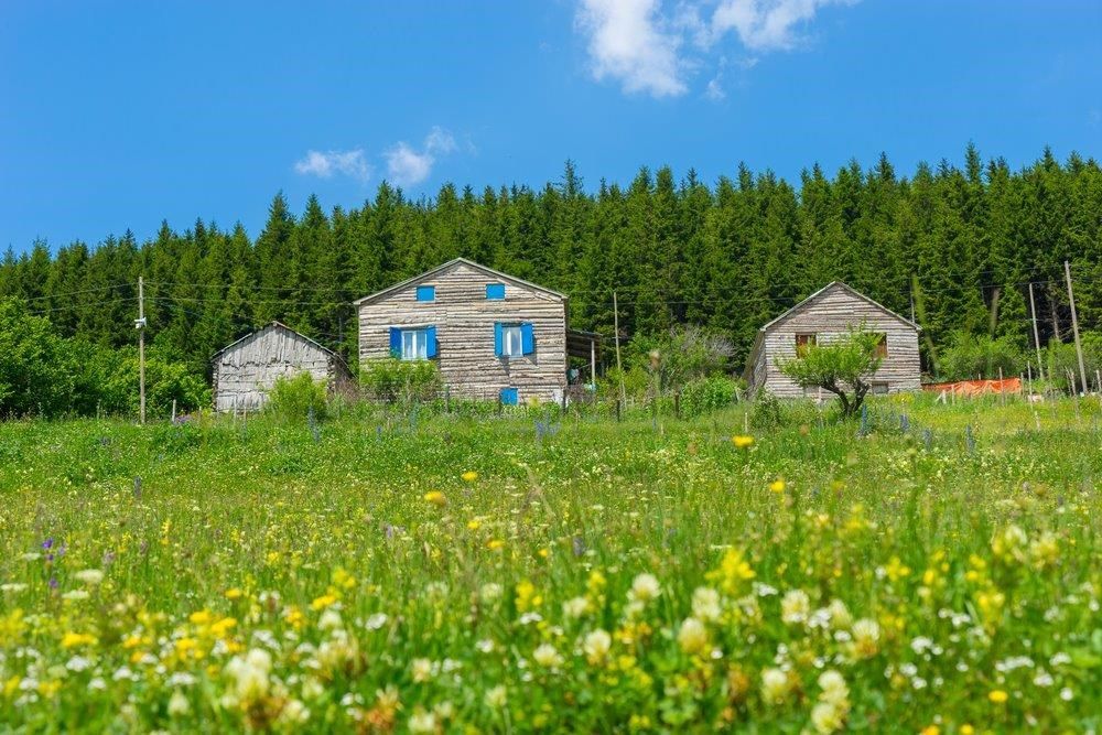 Uçaklı Karadeniz ve Batum Turu 4 Gece