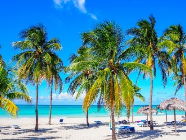 Karayip Güneşi Küba Varadero Deniz Tatili Turu 5* Her Şey Dahil Konaklama Türk Hava Yolları 7 Gece 