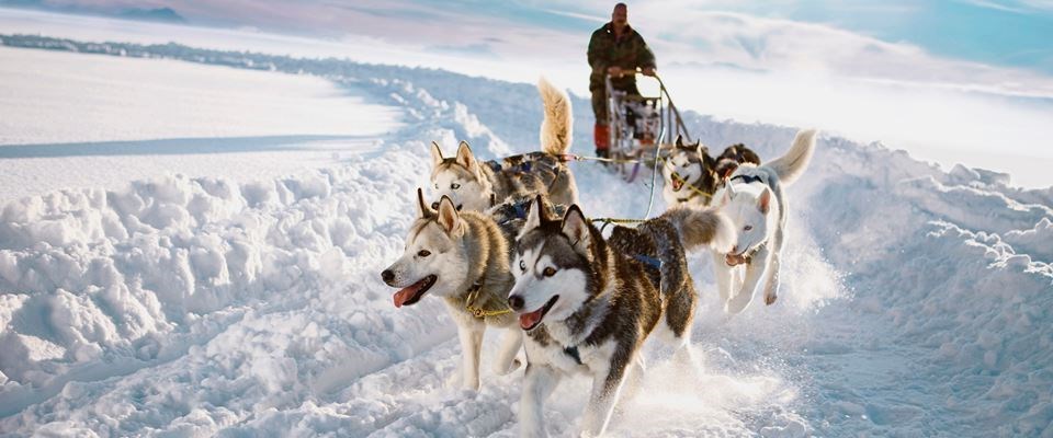 Süper Promo Lapland Beyaz Rotalar Türk Hava Yolları 3 Gece 