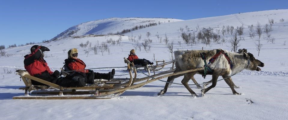 Lapland Beyaz Rotalar Çifte Yılbaşı Rotası Freebird Hava Yolları 3 Gece 