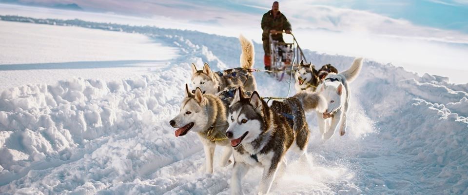 Lapland Beyaz Rotalar Çifte Yılbaşı Rotası Freebird Hava Yolları 3 Gece 