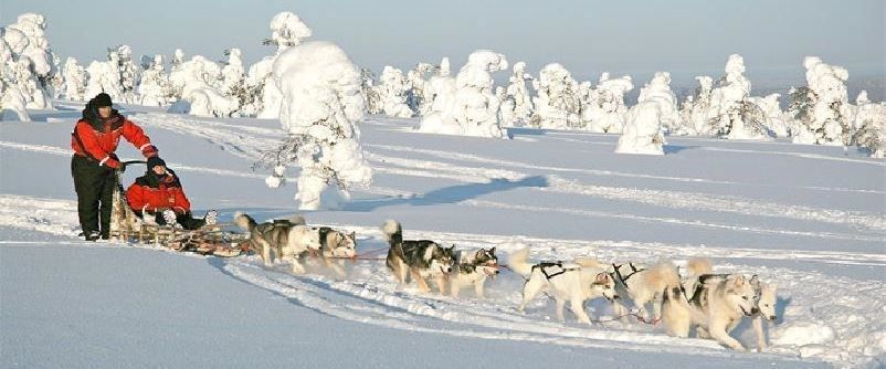Lapland Beyaz Rotalar Çifte Yılbaşı Rotası Freebird Hava Yolları 3 Gece 