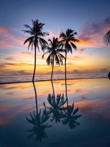 Ifuru Island Resort &SPA 5* 5 gece Sky  veya Beach Suite Her şey dahil Konaklama THY