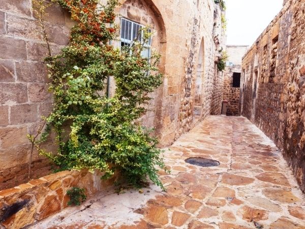 Ankara Çıkışlı Uçaklı Bağbozumu Mardin Midyat Turu 2 Gece