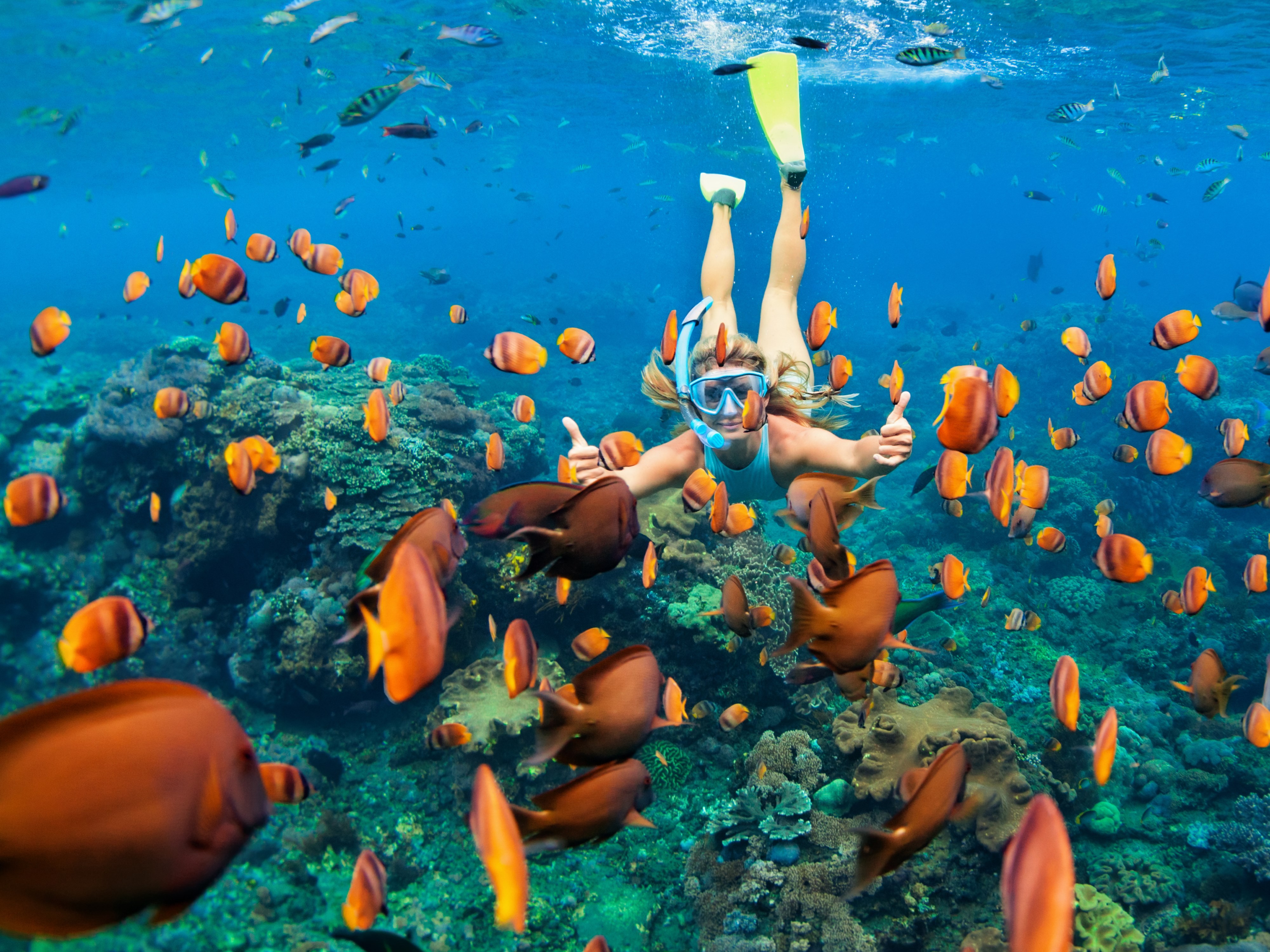 Sharm Turu Pegasus Havayolları Sabah Uçağı İle 4 gece 4* Queen Sharm Resort Yarım Pansiyon