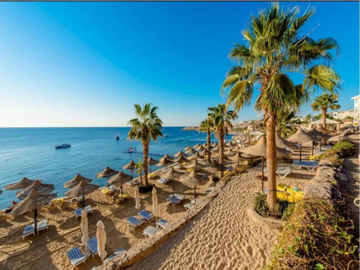 Sharm Turu A-Jet Havayolları 4 gece 5* Concorde el Salam Front Alkollü Herşey Dahil