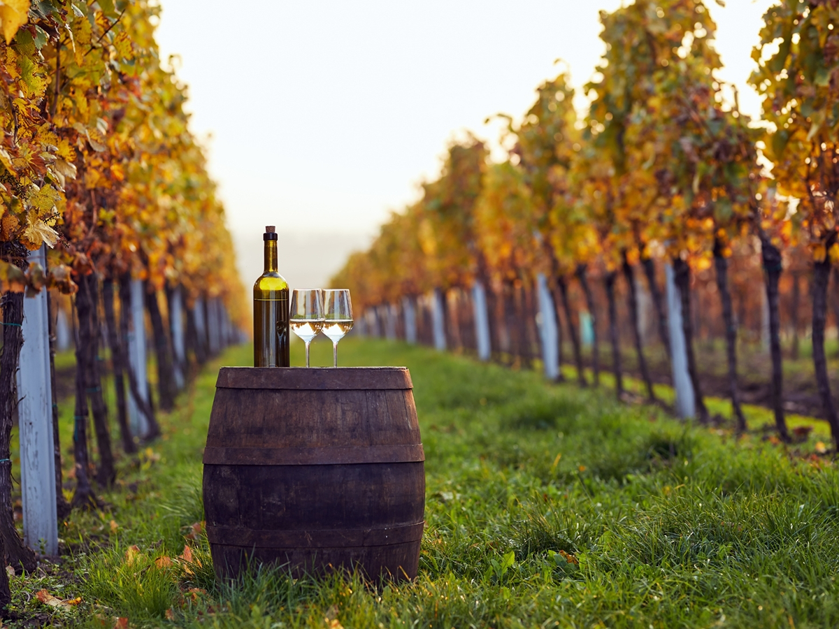 Avrupa'nın Keşfedilmemiş Yüzü Moldova Turu Türk Hava Yolları 3 Gece