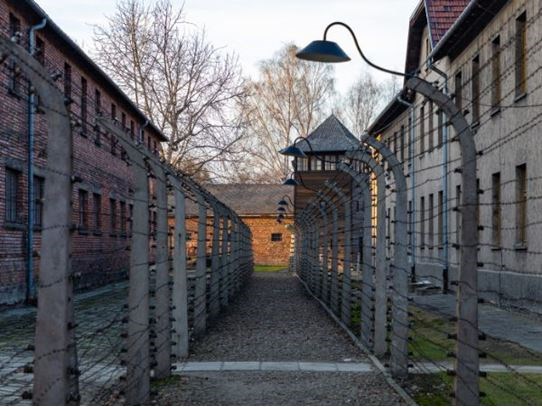 **Kurban Bayramı**Tarihle Dans Polonya Turu Krakow Varşova Türk Hava Yolları 4 Gece