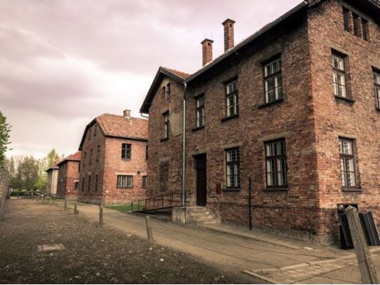 **Kurban Bayramı**Tarihle Dans Polonya Turu Krakow Varşova Türk Hava Yolları 4 Gece