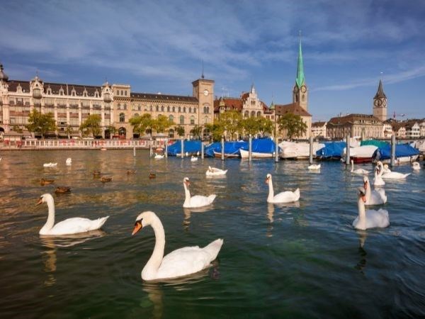  **Kurban Bayramı**Alplerden Masal Yollarına İsviçre Almanya  Türk Hava Yolları 6 Gece (Tüm Turlar Dahil)