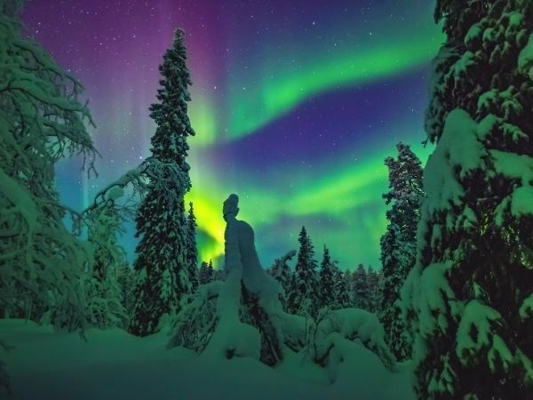 Büyüleyici Kuzey Işıkları Lapland Türk Hava Yolları 3 Gece (Tüm Turlar Dahil)