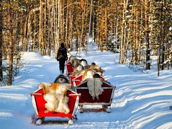 Büyüleyici Kuzey Işıkları Lapland Türk Hava Yolları 3 Gece (Tüm Turlar Dahil)