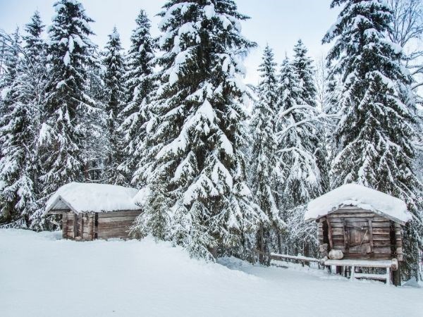 Büyüleyici Kuzey Işıkları Lapland Türk Hava Yolları 4 Gece (2 Gece Jakuzi ve Saunalı Cam Iglooda Konaklama) (Tüm Turlar Dahil)