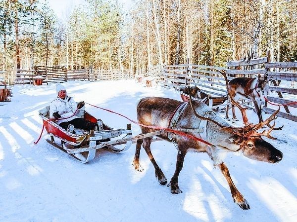 Büyüleyici Kuzey Işıkları Lapland Türk Hava Yolları 4 Gece (2 Gece Jakuzi ve Saunalı Cam Iglooda Konaklama) (Tüm Turlar Dahil)