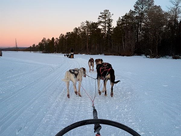 Büyüleyici Kuzey Işıkları Lapland Türk Hava Yolları 4 Gece (2 Gece Jakuzi ve Saunalı Cam Iglooda Konaklama) (Tüm Turlar Dahil)