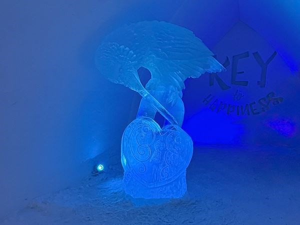 Büyüleyici Kuzey Işıkları Lapland Türk Hava Yolları 4 Gece (2 Gece Jakuzi ve Saunalı Cam Iglooda Konaklama) (Tüm Turlar Dahil)
