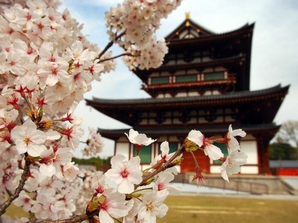 Doğan Güneşin Ülkesi Japonya Türk Hava Yolları 6 Gece