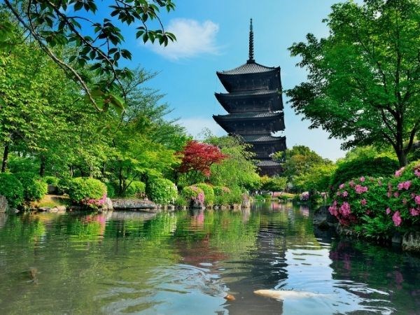 Doğan Güneşin Ülkesi Japonya Türk Hava Yolları 6 Gece