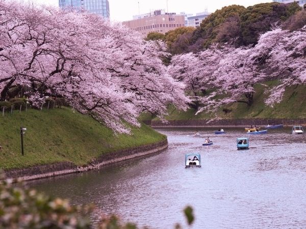 Doğan Güneşin Ülkesi Japonya Türk Hava Yolları 6 Gece