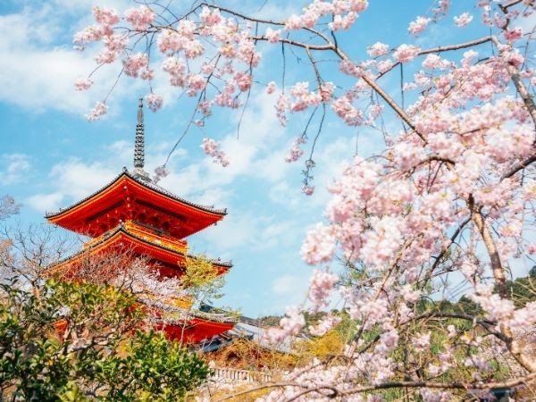 Doğan Güneşin Ülkesi Japonya Türk Hava Yolları 6 Gece