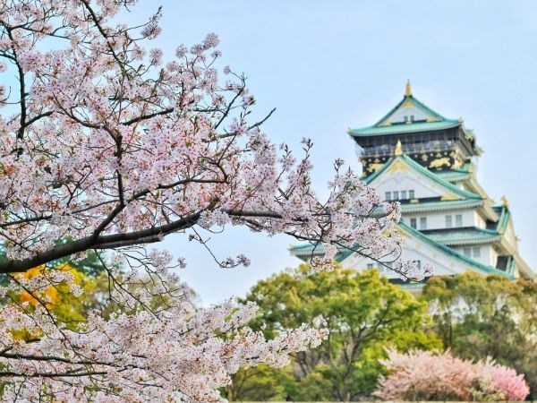 Doğan Güneşin Ülkesi Japonya Türk Hava Yolları 6 Gece