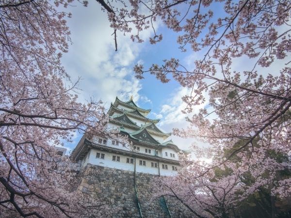Doğan Güneşin Ülkesi Japonya Türk Hava Yolları 6 Gece