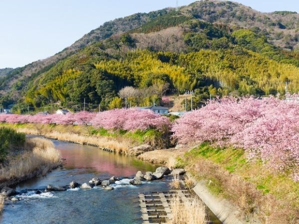 Doğan Güneşin Ülkesi Japonya Türk Hava Yolları 6 Gece
