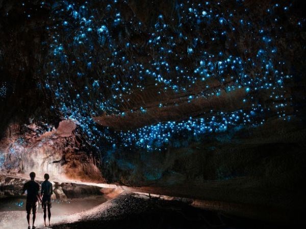 Avustralya Yeni Zelanda Türk Hava Yolları 9 Gece