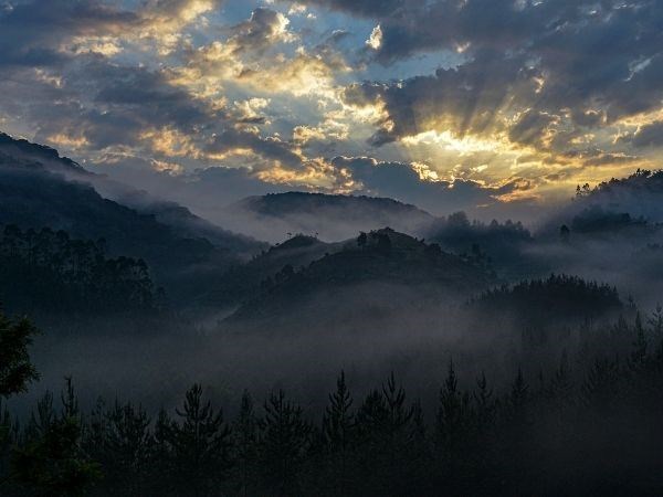 Elegant Ruanda Uganda Türk Hava Yolları 8 Gece