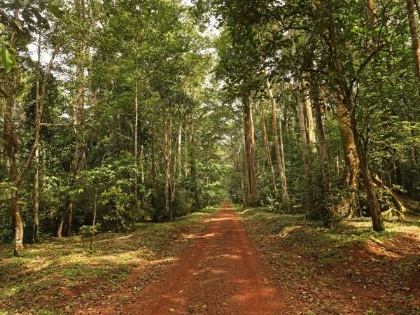 Elegant Ruanda Uganda Türk Hava Yolları 8 Gece