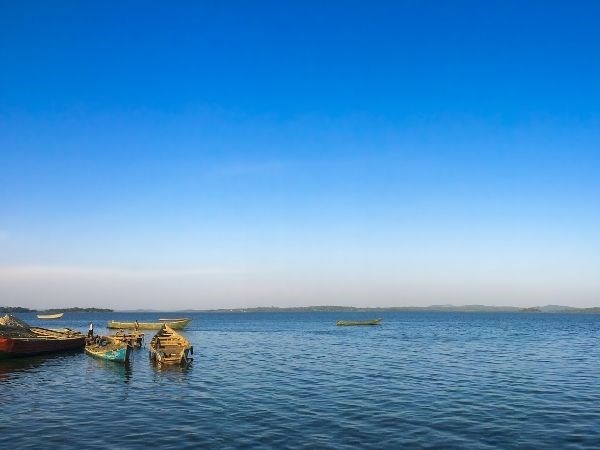 Elegant Uganda Türk Hava Yolları 7 Gece