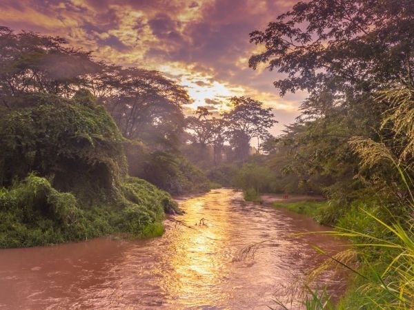 Elegant Uganda Türk Hava Yolları 7 Gece
