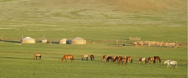 Altın Kartal Festivali'nde Moğolistan Türk Hava Yolları 9 Gece
