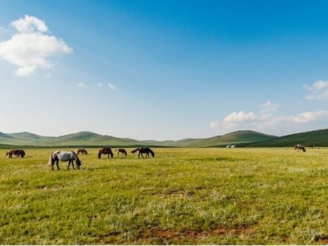 Altın Kartal Festivali'nde Moğolistan Türk Hava Yolları 9 Gece