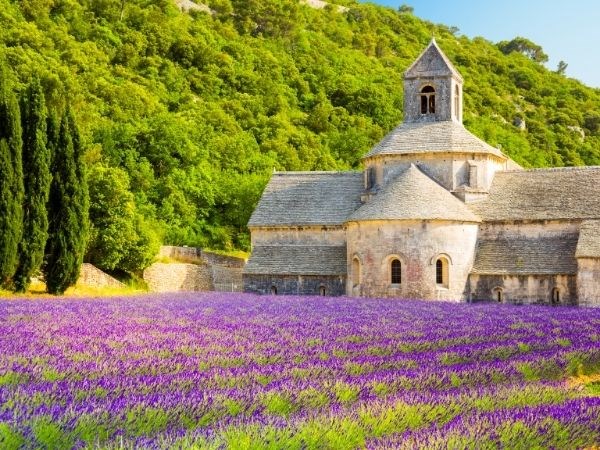  **Kurban Bayramı**Romantik Fransa Sahilleri (Cote D’azur – Nice – Monte Carlo – Cannes – Marsilya) Türk Hava Yolları 4 Gece