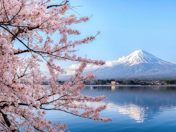 Sakura Dönemi Japonya Türk Hava Yolları 7 Gece (2)