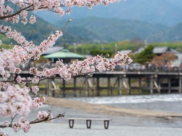Sakura Zerafeti Japonya Türk Hava Yolları 7 Gece (Tüm Turlar Dahil)