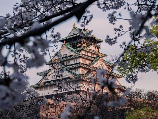 Sakura Zerafeti Japonya Türk Hava Yolları 7 Gece (Tüm Turlar Dahil)