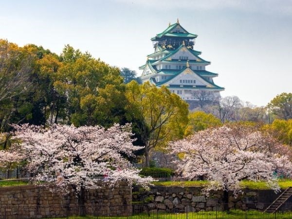 Sakura Zerafeti Japonya Türk Hava Yolları 7 Gece (Tüm Turlar Dahil)