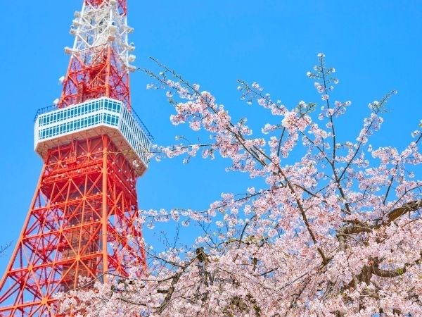 Sakura Zerafeti Japonya Türk Hava Yolları 7 Gece (Tüm Turlar Dahil)